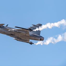 Saab Gripen de l'armée de l'air suédoise. sur Jaap van den Berg
