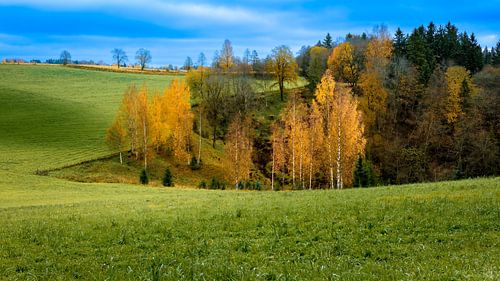 Ein Blick auf die erstaunliche und idyllische norwegische Landschaft. Herbstbild mit Bergen und Flüssen.