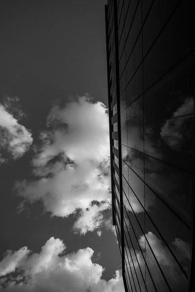 black and white by Bart Liesenborgs