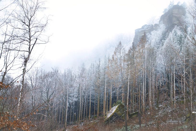 Zschirnstein mit schneebedeckten Bäumen und Nebel auf dem Gipfel von Martin Köbsch