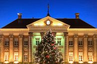 Kerstboom voor het Stadhuis van Groningen van Frenk Volt thumbnail