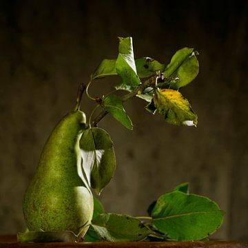 Nature morte d'une poire avec des feuilles sur Herman Peters