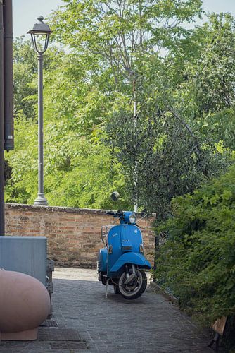 Straat fotografie in Iatie