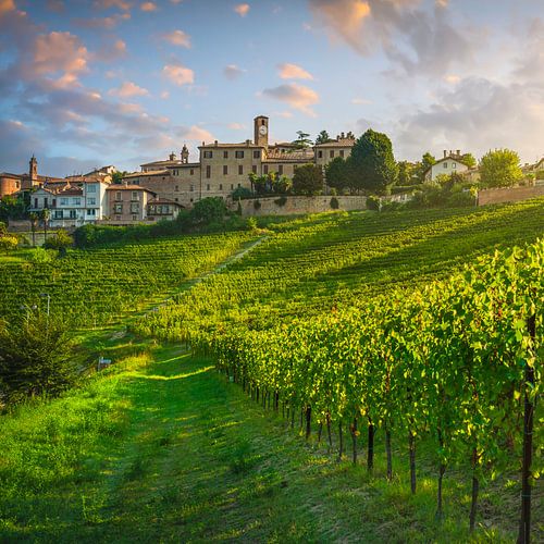 Neive dorp en Langhe wijngaarden, Italië