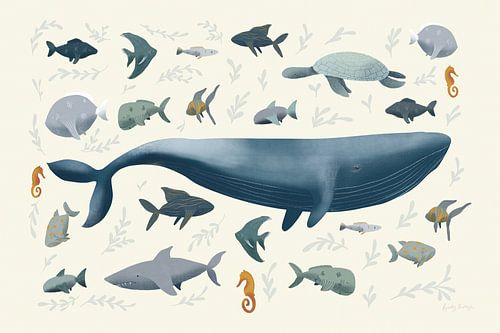 Ocean Life, Becky Thorns by Wild Apple