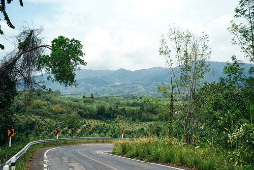 Road trip through nature in Khao Sok, Thailand