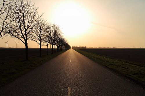Endless Road