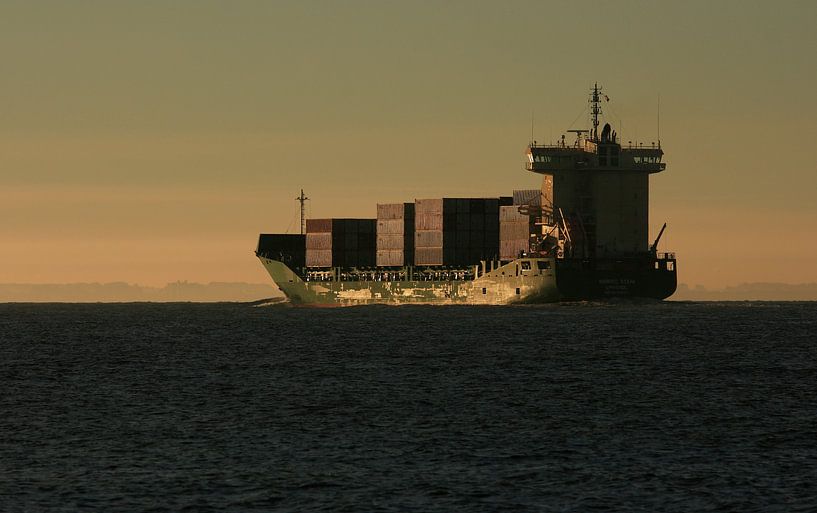 Containerschip dicht bij kust Zoutelande van MSP Canvas