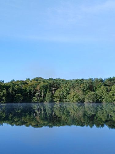 Reflektierter Wald mit blauem Himmel