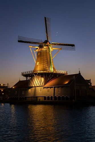 De Salamander met Jupiter & Venus van Bob Vandenberg