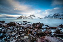 Die Lofoten in Norwegen im Winter von Johan Bergsma