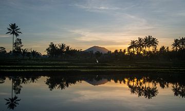 Reflection of a sunrise in a rice field in Bali by Ellis Peeters