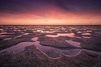 Sunset wadden