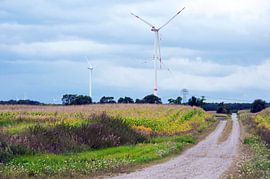 Zauberhafte Windräder in ländlicher Idylle im Raum Brandenburg von Silva Wischeropp