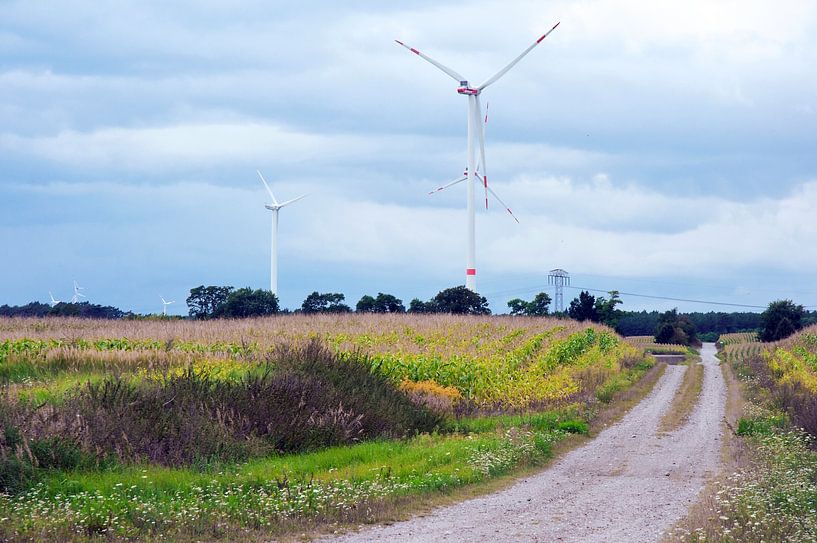 Enchanting wind turbines in a rural idyll in the Brandenburg region by Silva Wischeropp