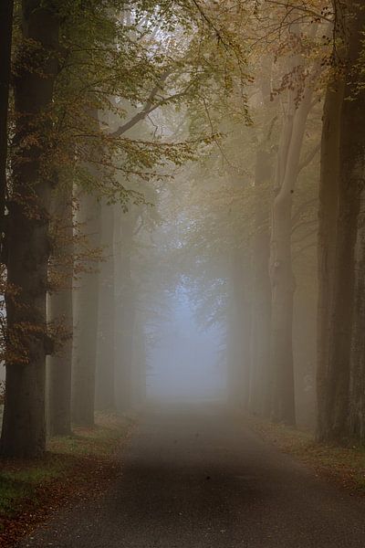 Den Treek van Gerard Glavimans
