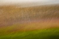 Herfst kleuren