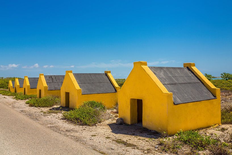Rij met gele slavenhuisjes aan kust van het eiland Bonaire van Ben Schonewille