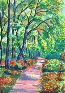 Haager Wald