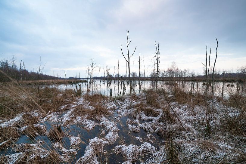 Winterlandschafts-Nationalpark &quot;Groote Peel&quot; von Ger Beekes