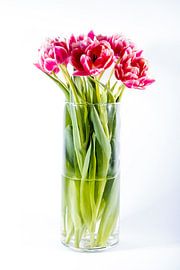 Stillleben Tulpen von Joke Beers-Blom