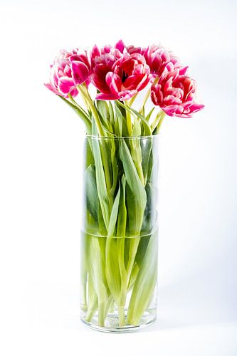 Stilleven tulpen