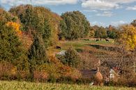 Herbstliche Farben auf den Hügeln Südlimburgs von John Kreukniet Miniaturansicht