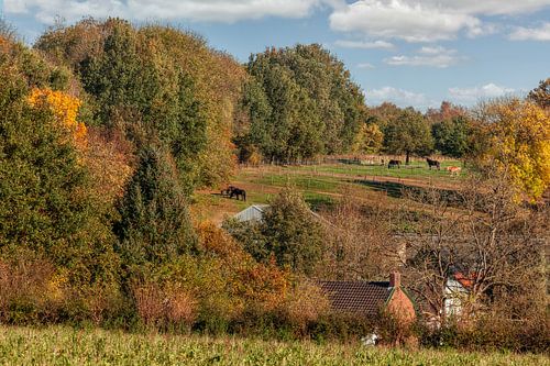 Herfstkleuren op de heuvels van Zuid-Limburg