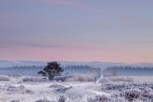 Cold winter morning with softly coloured sky von Karla Leeftink