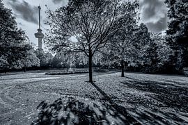 Natural Serenity by Marcel Moonen @ MMC Artworks