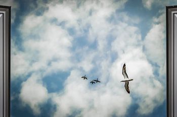 Freiheit vor meinem Fenster