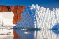 Eisberge im Røde Ø, Scoresby Sund, Grönland von Henk Meijer Photography Miniaturansicht