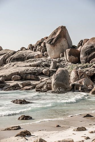 Rocky Shoreline Bliss