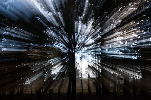 Zonlicht-kristallen bomen