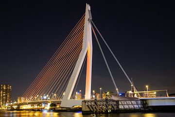 De Erasmusbrug van Rotterdam van Petra Brouwer