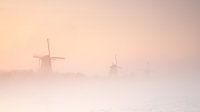Kinderdijk in de mist