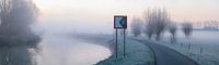 Ochtend mist langs de Dender van Marcel Derweduwen thumbnail