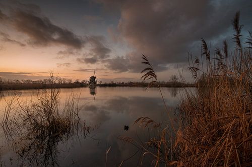 Molen De Steendert voor zonsopkomst