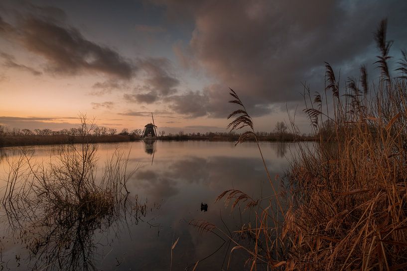 Mill De Steendert by Moetwil en van Dijk - Fotografie