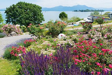 Parklandschap Gstadt am Chiemsee van SusaZoom