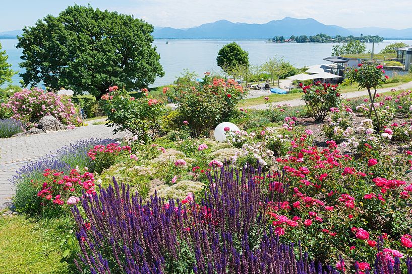 park landscape with roses and lavender, tourist resort Gstadt by SusaZoom
