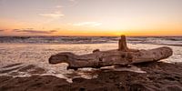 Sunset by the sea with large tree trunk on the beach