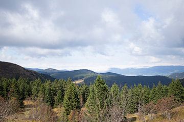 Vue du Feldberg dans la Forêt Noire