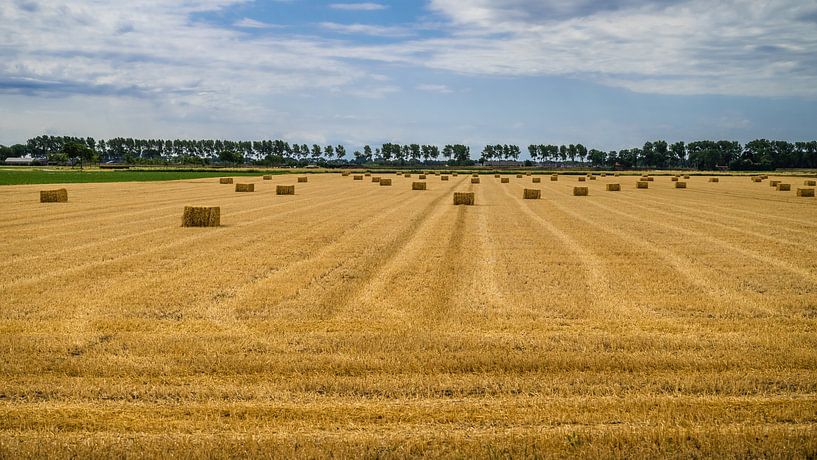 Strohballen auf dem Grundstück von Hanno Brand