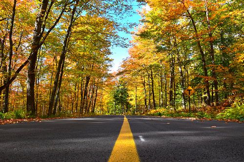 Une route de campagne à l'automne