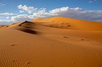 Deserts and sand dunes at Sunrise, the Sahara, Africa