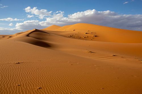 Deserts and sand dunes at Sunrise, the Sahara, Africa