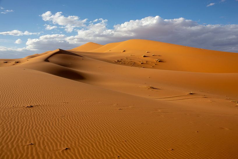Woestijnen en Zandduinenlandschap bij Zonsopgang, de Sahara, Afrika van Tjeerd Kruse