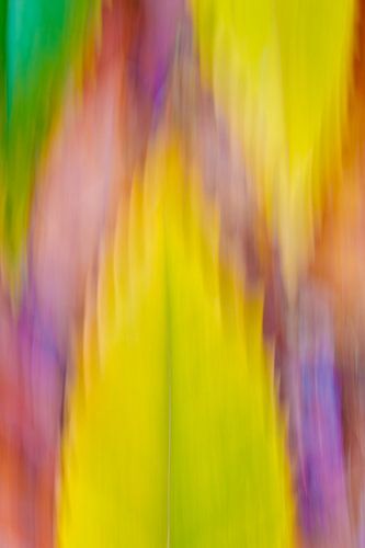 Colourful dynamic abstract