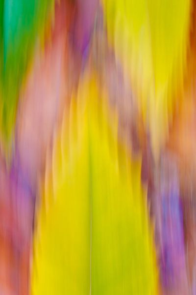 Bunte dynamische abstrakte von Maarten Trybou